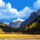 银保理财  18703980129