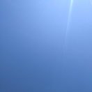 张威龙