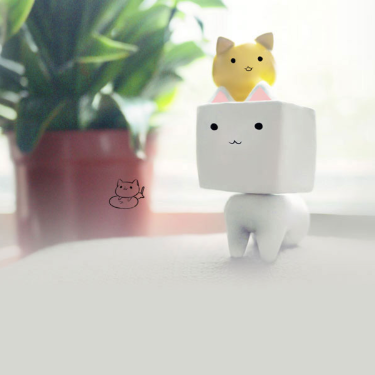 徐仪