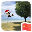 CHI迟