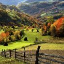 工作是咸鱼生活是知音