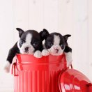 纸品~周筱青13316684877