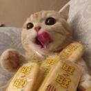 熱