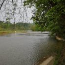 清江水迂一叶舟