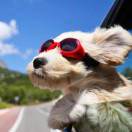 人生小满胜萬全