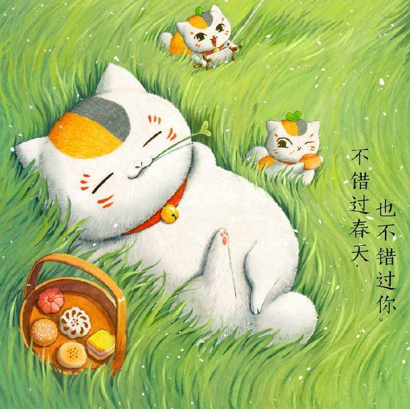 爱吃肉的喵