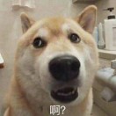 十馨殇
