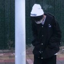 叶