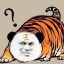 小熊饼干