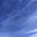 大大慢伸长脖子快