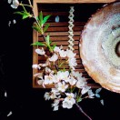 荔枝