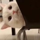 -.-