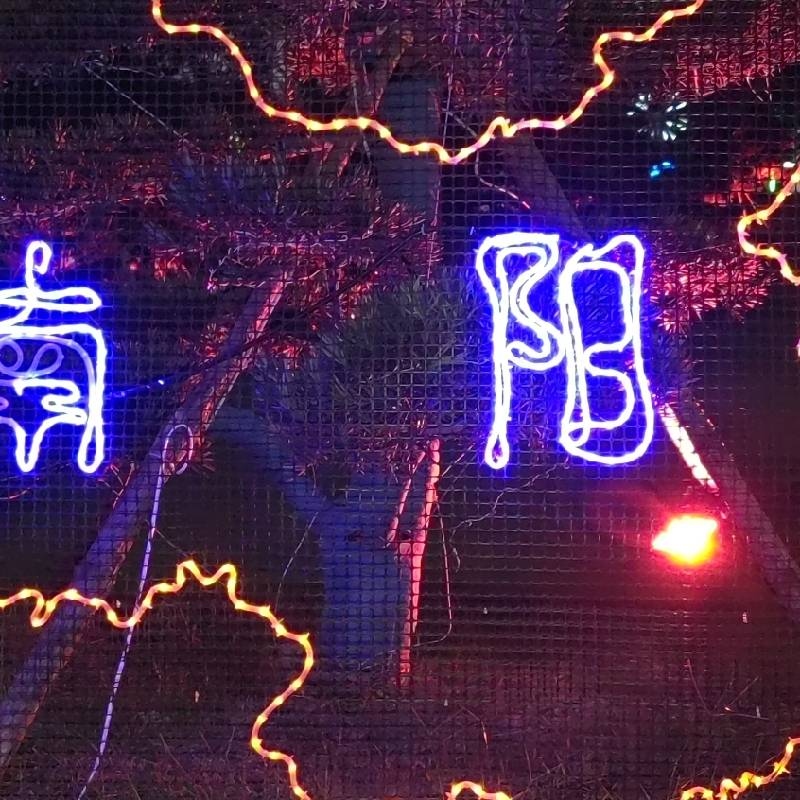 张伟钟