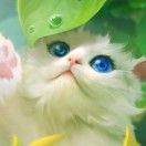 范范