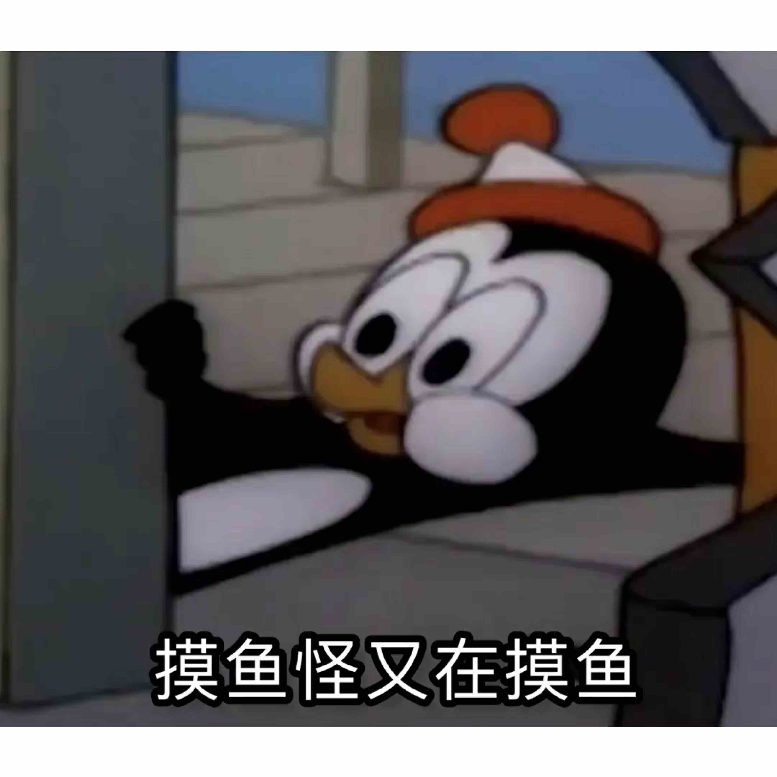 O泡时间到