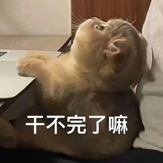 大头大头下雨不愁