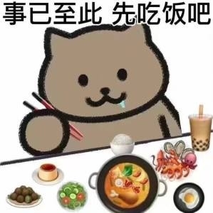 奥尔维斯猫