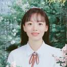 洛影律师