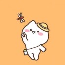 南拥夏栀