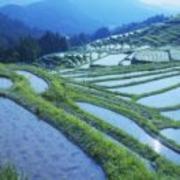 白洪涛