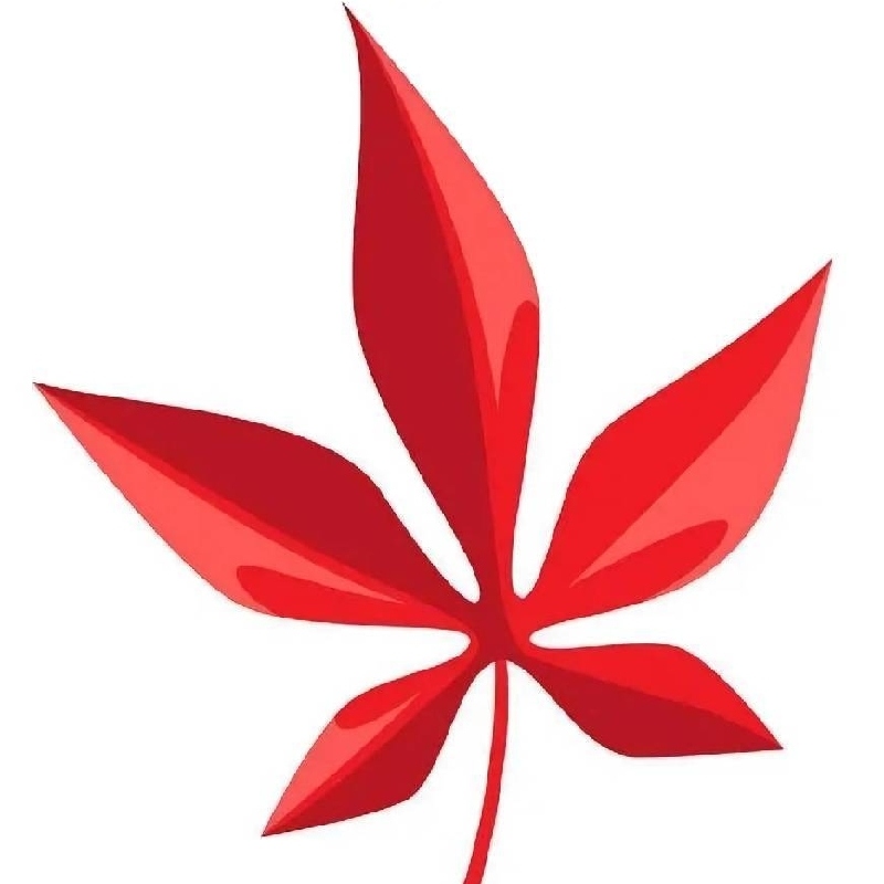 大雪山大轮寺大轮明王大使