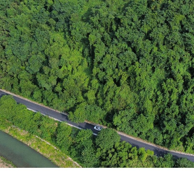 昨夜残红随波逐东流