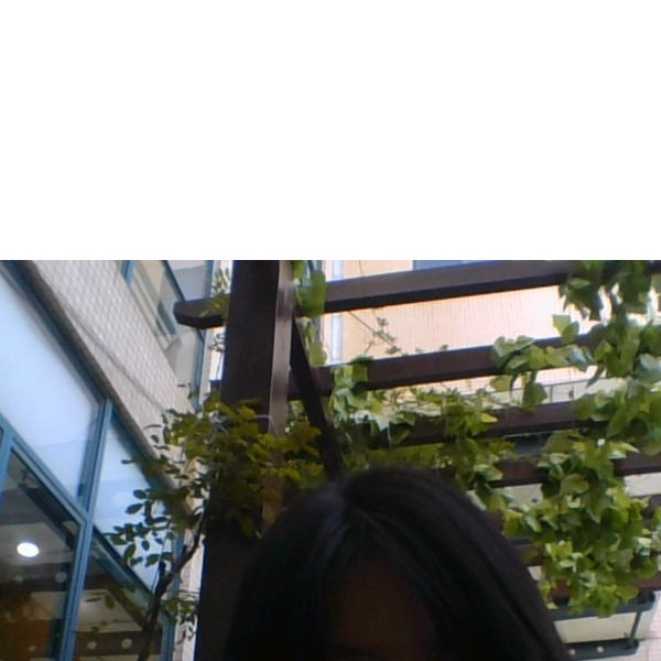 树记得
