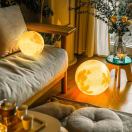 A勇兴富李小姐18576868517