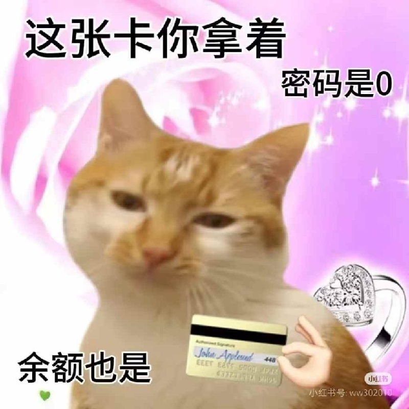 小U姐