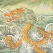 池林海