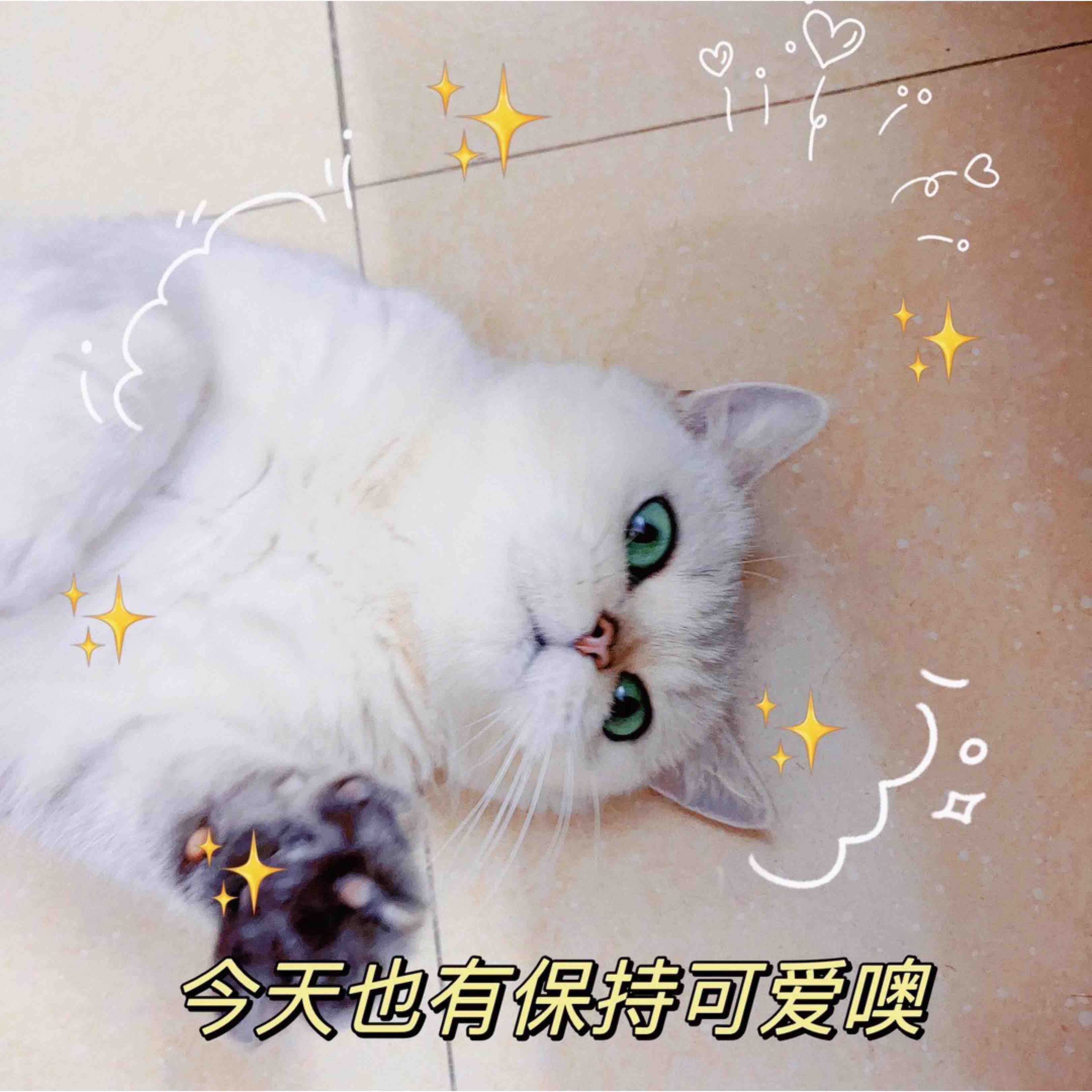 凝末花絮