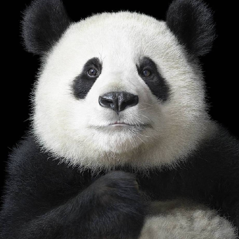 步余马于兰皋
