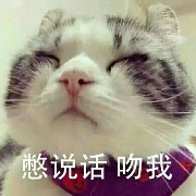 彤哥