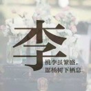 AAA来兴