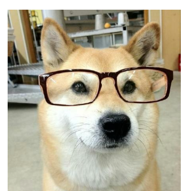 不过梦一场1410182278