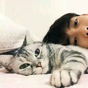 GongSeo