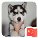我是乐天派