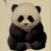 周鹏