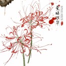 秋天落叶的点缀