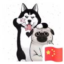 科