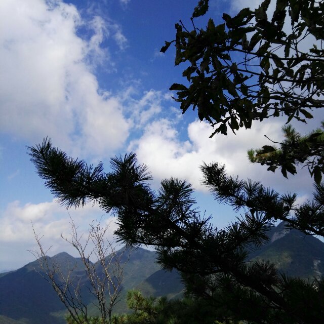 追随内心