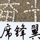 xeefeugyee