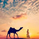 小小灰丶小小晖