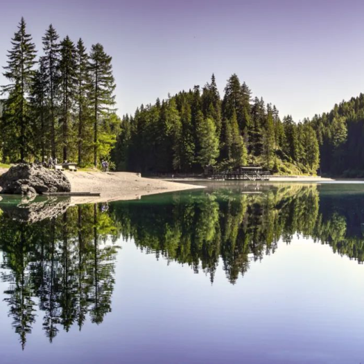 孙鹏博-17710098063