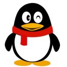 来自2024的初学者