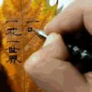 双木成林
