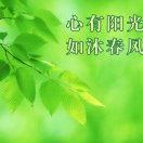 忘尘紫筑