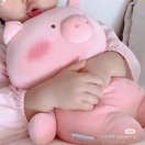 ……………………