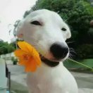 夏天的動物園