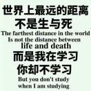 梅蕲开